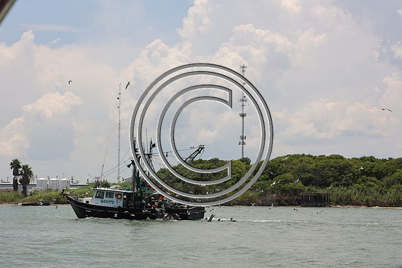 CPP_3019