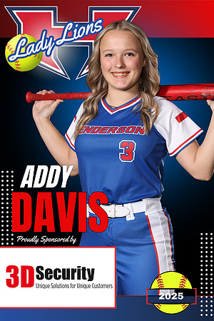 addy davis 3d security