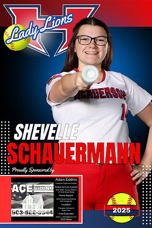 Schauermann ace siding