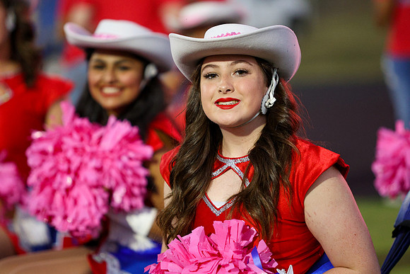 CPP_HHSFB1021-8043