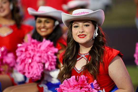 CPP_HHSFB1021-8044