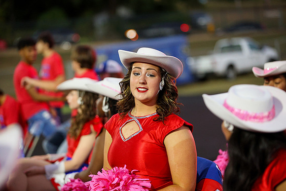 CPP_HHSFB1021-8053