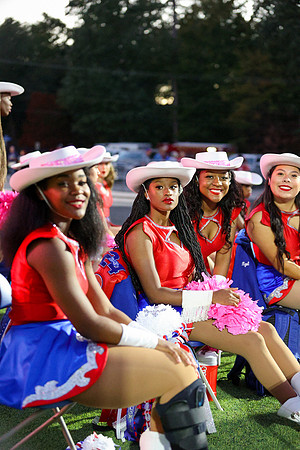 CPP_HHSFB1021-8066