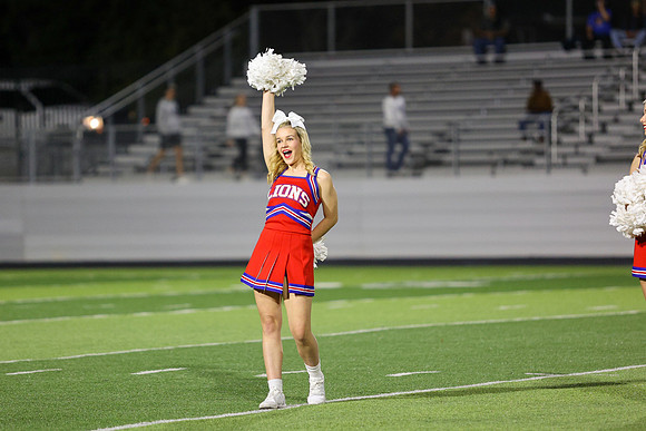 CPP_HHSFB1021-8194
