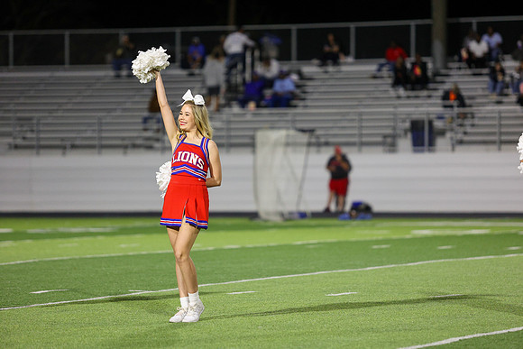 CPP_HHSFB1021-8196