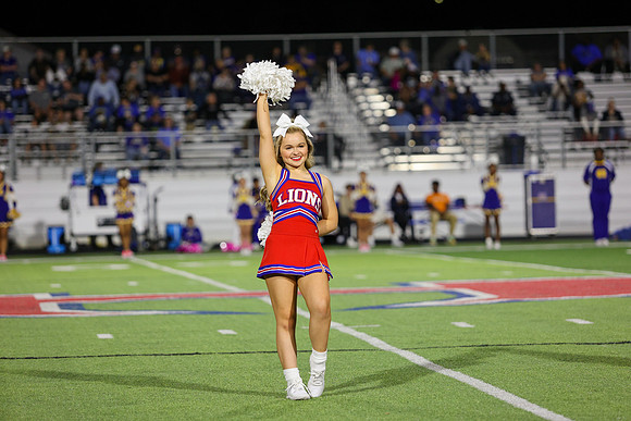 CPP_HHSFB1021-8199