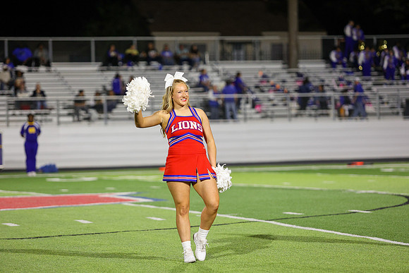 CPP_HHSFB1021-8201