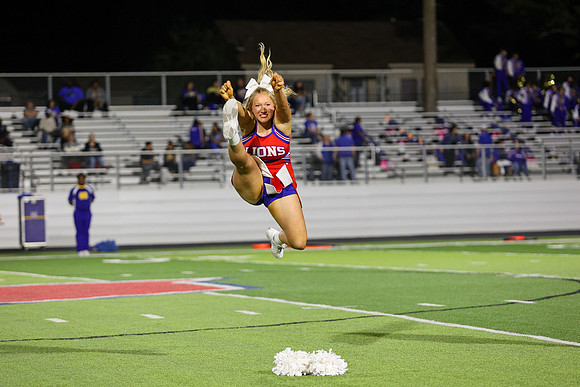 CPP_HHSFB1021-8202
