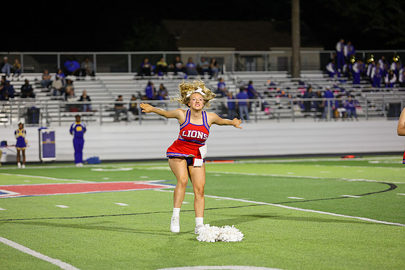 CPP_HHSFB1021-8203