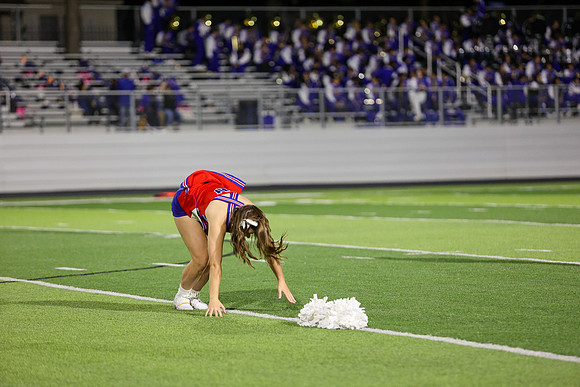 CPP_HHSFB1021-8207