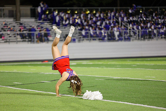 CPP_HHSFB1021-8206