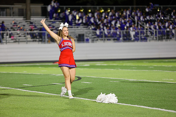 CPP_HHSFB1021-8208