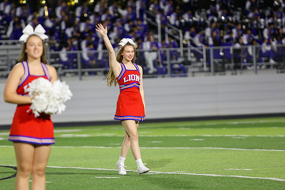CPP_HHSFB1021-8210
