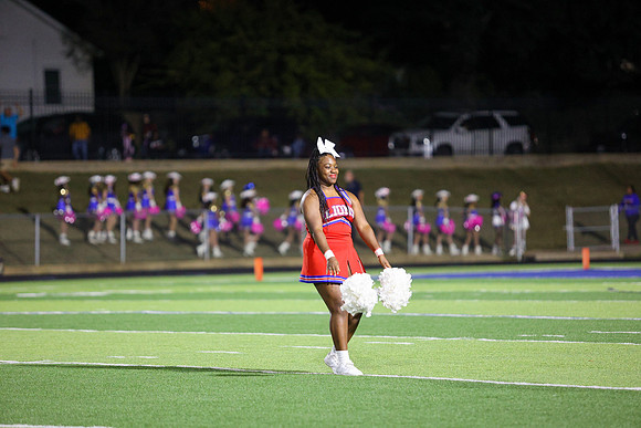 CPP_HHSFB1021-8214