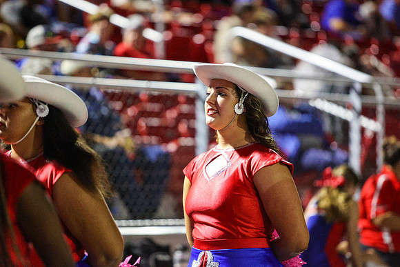 CPP_HHSFB1021-8317