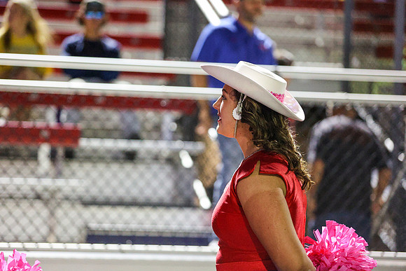 CPP_HHSFB1021-8319