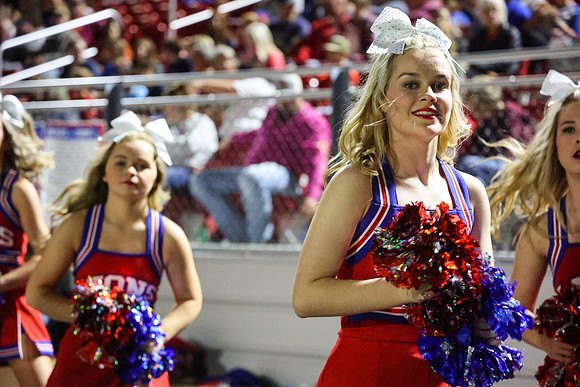 CPP_HHSFB1021-8349