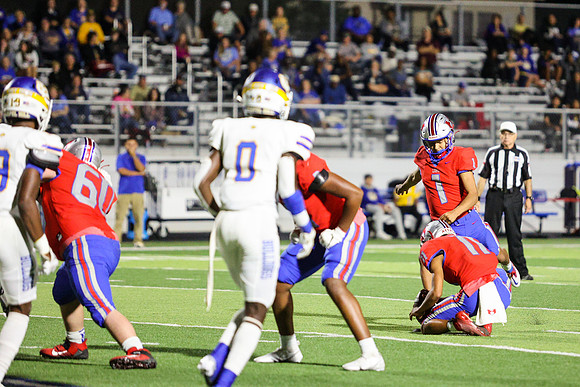 CPP_HHSFB1021-8363