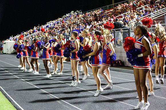 CPP_HHSFB1021-8365
