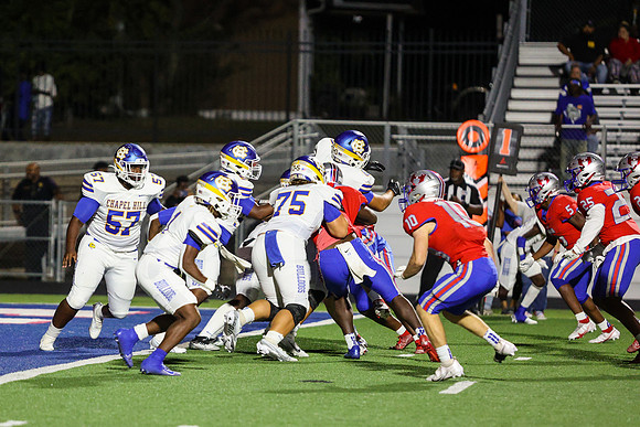 CPP_HHSFB1021-8379