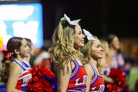 CPP_HHSFB1021-8384