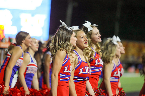CPP_HHSFB1021-8391