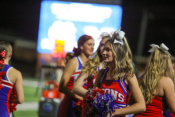 CPP_HHSFB1021-8393