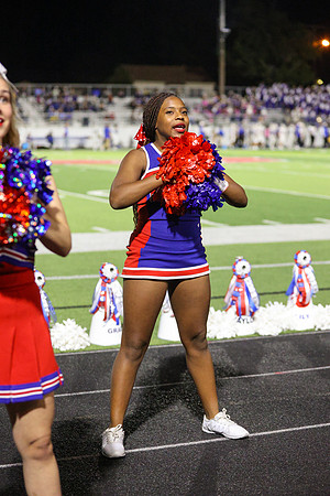 CPP_HHSFB1021-8412