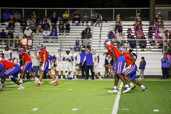 CPP_HHSFB1021-8463