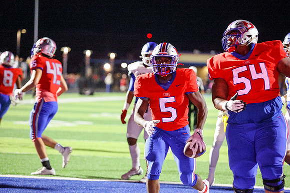 CPP_HHSFB1021-8497