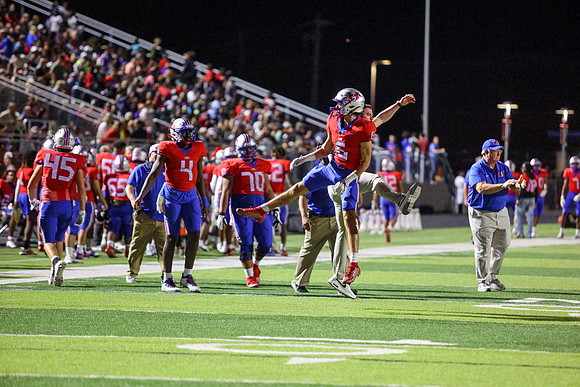 CPP_HHSFB1021-8517
