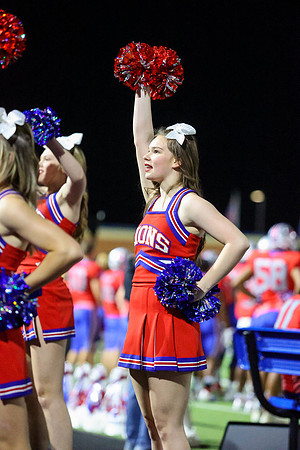 CPP_HHSFB1021-8538