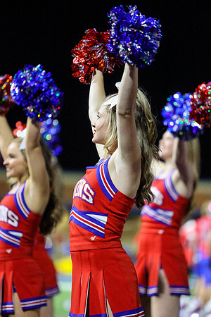 CPP_HHSFB1021-8539