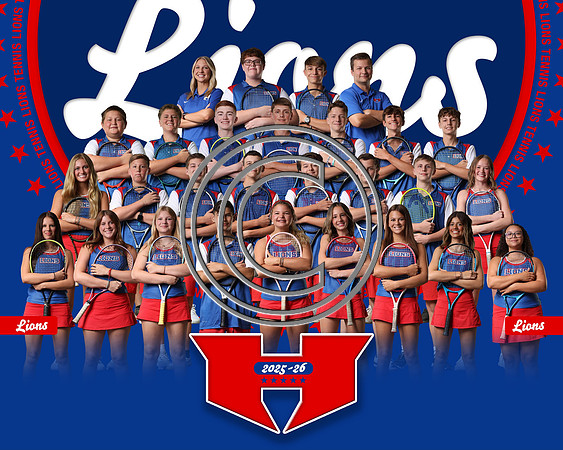 tennis full team copy