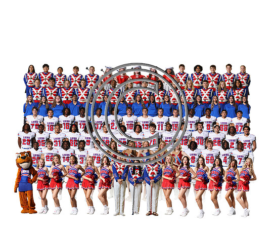 Team Build Lion Nation