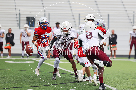 HHSfb9jv-6116