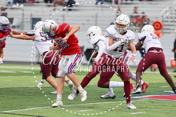 HHSfb9jv-6119