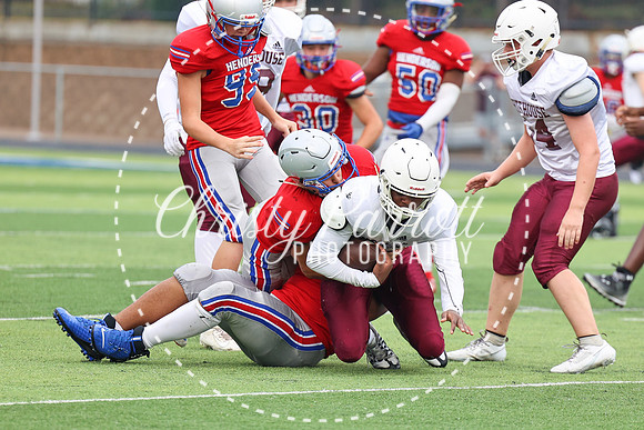 HHSfb9jv-6124