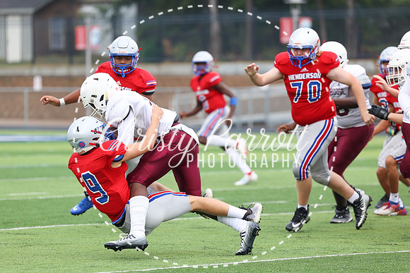 HHSfb9jv-6127