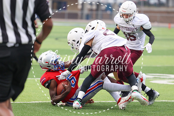 HHSfb9jv-6241