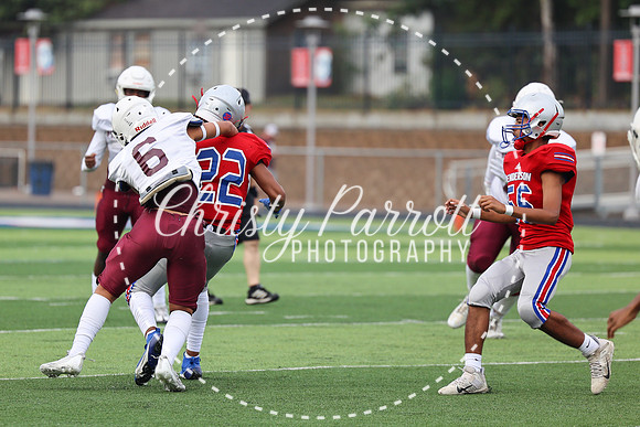 HHSfb9jv-6108