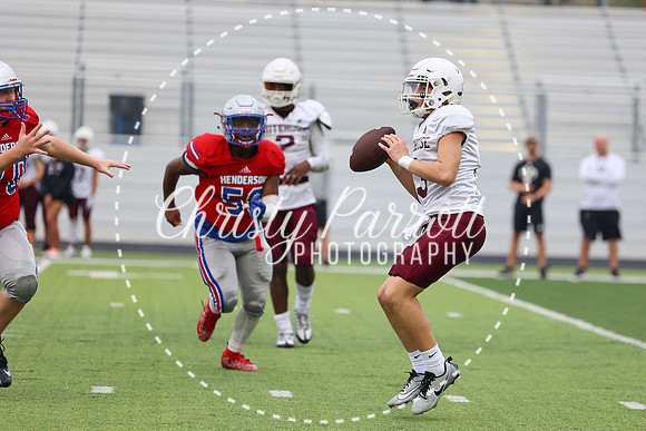 HHSfb9jv-6199