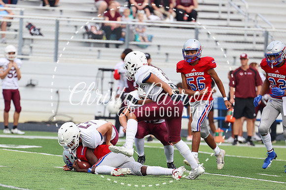 HHSfb9jv-6167