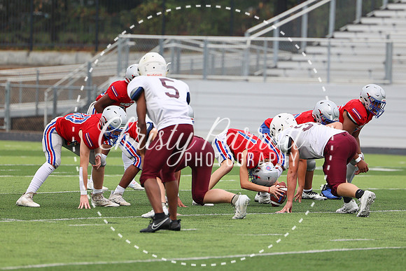 HHSfb9jv-6113