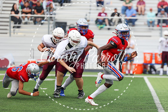 HHSfb9jv-6176