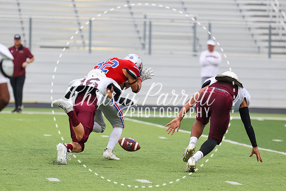 HHSfb9jv-6194