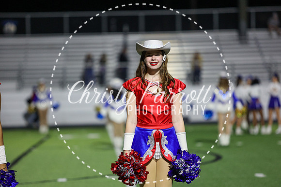 CPP_fbnov3-7977