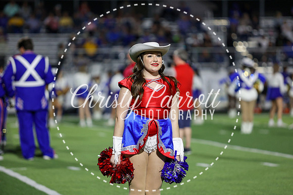 CPP_fbnov3-7982