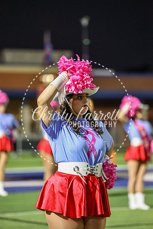 CPP_HHSFB1007-4085