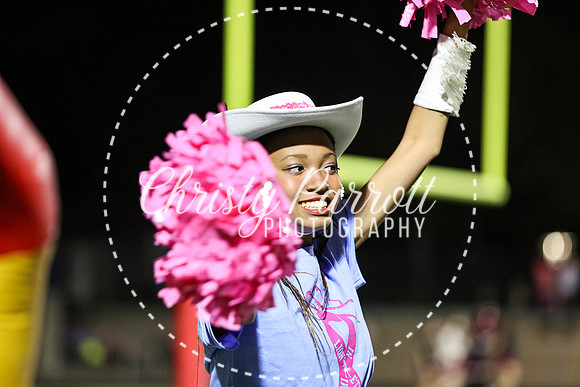 CPP_HHSFB1007-4099